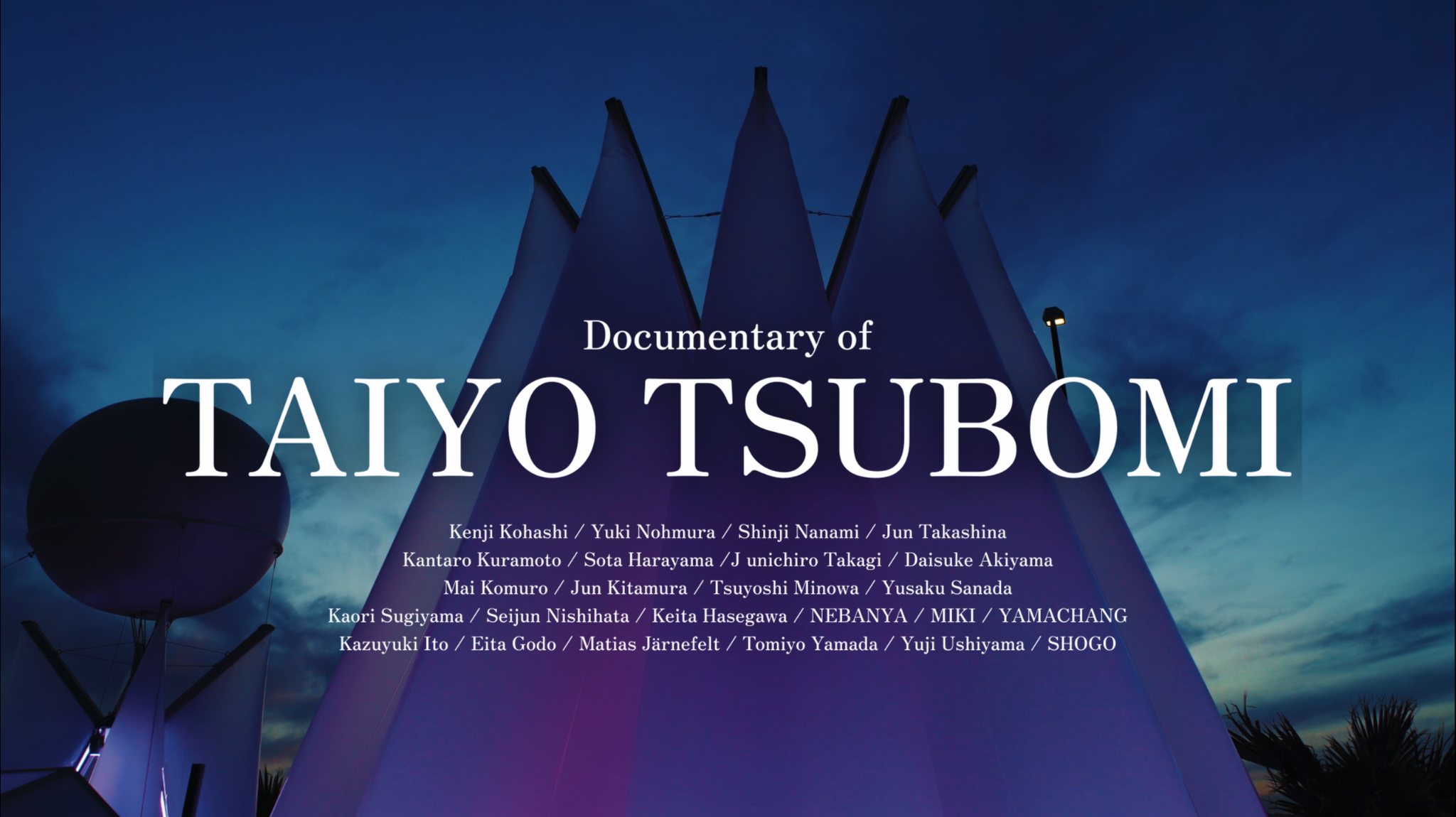 Documentary of TAIYO TSUBOMI — 映像作品のスチル