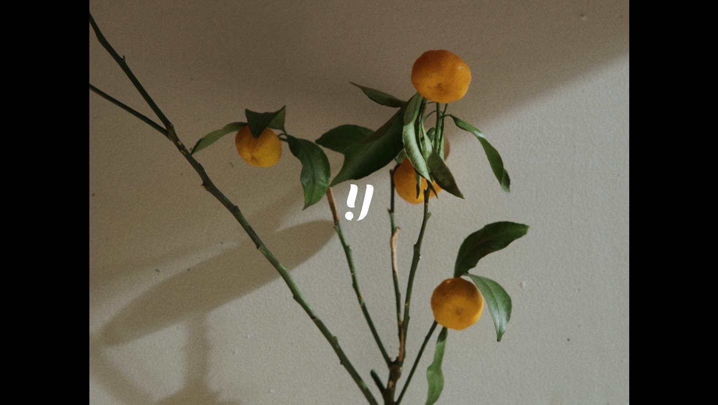 Yellow Nakameguro — 映像作品のスチル